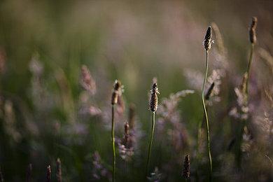 策略回合类RPG游戏《边界迷航》Steam页面上线  支持简中